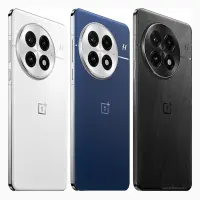OnePlus 13
