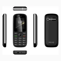 Peaq PMP 12