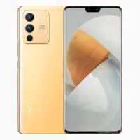 Vivo S12