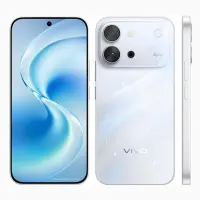 Vivo S60e