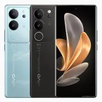 Vivo V29