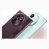 Vivo V30e