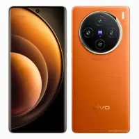 Vivo X100