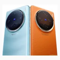 Vivo X100