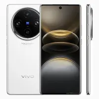 Vivo X100s Pro