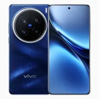 Vivo X200 Pro