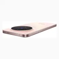 Vivo X300