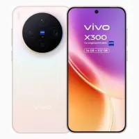 Vivo X300