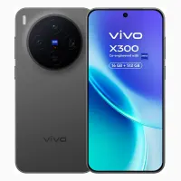 Vivo X300