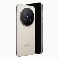 Vivo X300 Pro