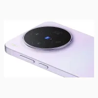 Vivo X300s
