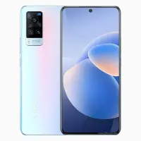 Vivo X60