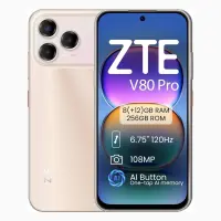 ZTE V80 Pro